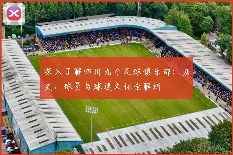 深入了解四川九牛足球俱乐部:历史、球员与球迷文化全解析